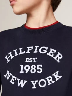 Bluzy Dresowe I Z Kapturem*Tommy Hilfiger Bluza Hilfiger Monotype Z Flokowanym Logo DESERT SKY