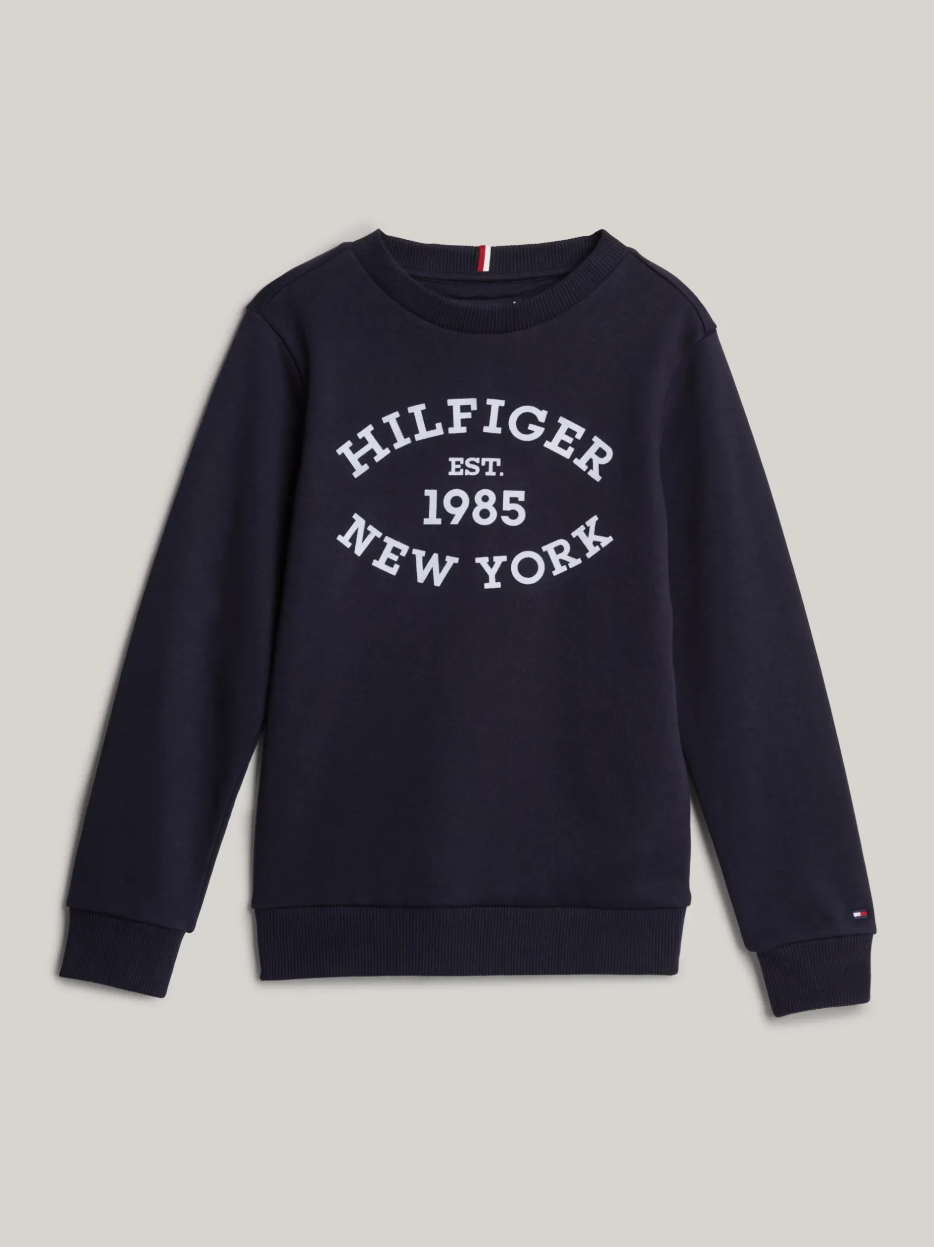 Bluzy Dresowe I Z Kapturem*Tommy Hilfiger Bluza Hilfiger Monotype Z Flokowanym Logo DESERT SKY
