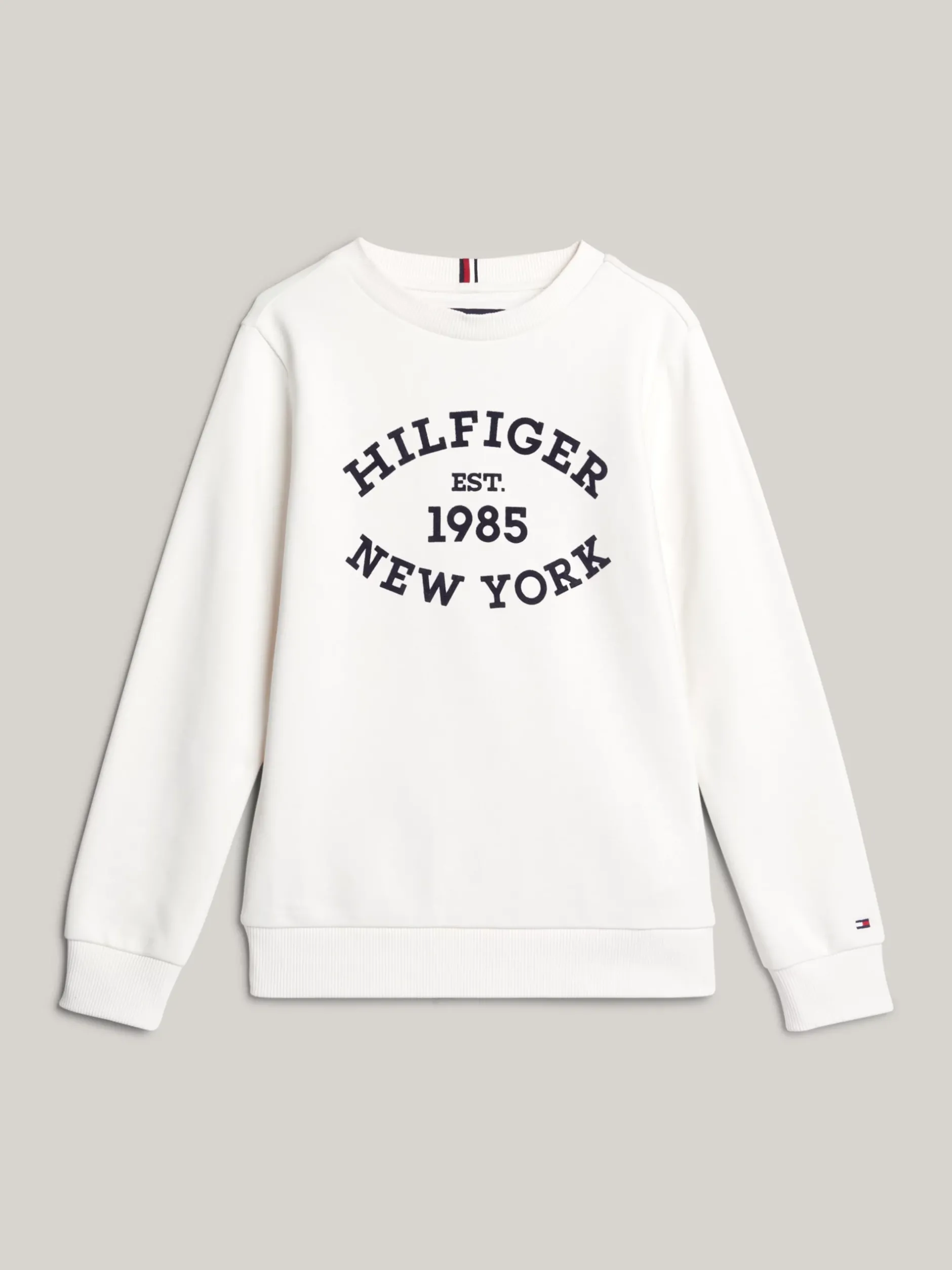 Bluzy Dresowe I Z Kapturem*Tommy Hilfiger Bluza Hilfiger Monotype Z Flokowanym Logo ANCIENT WHITE