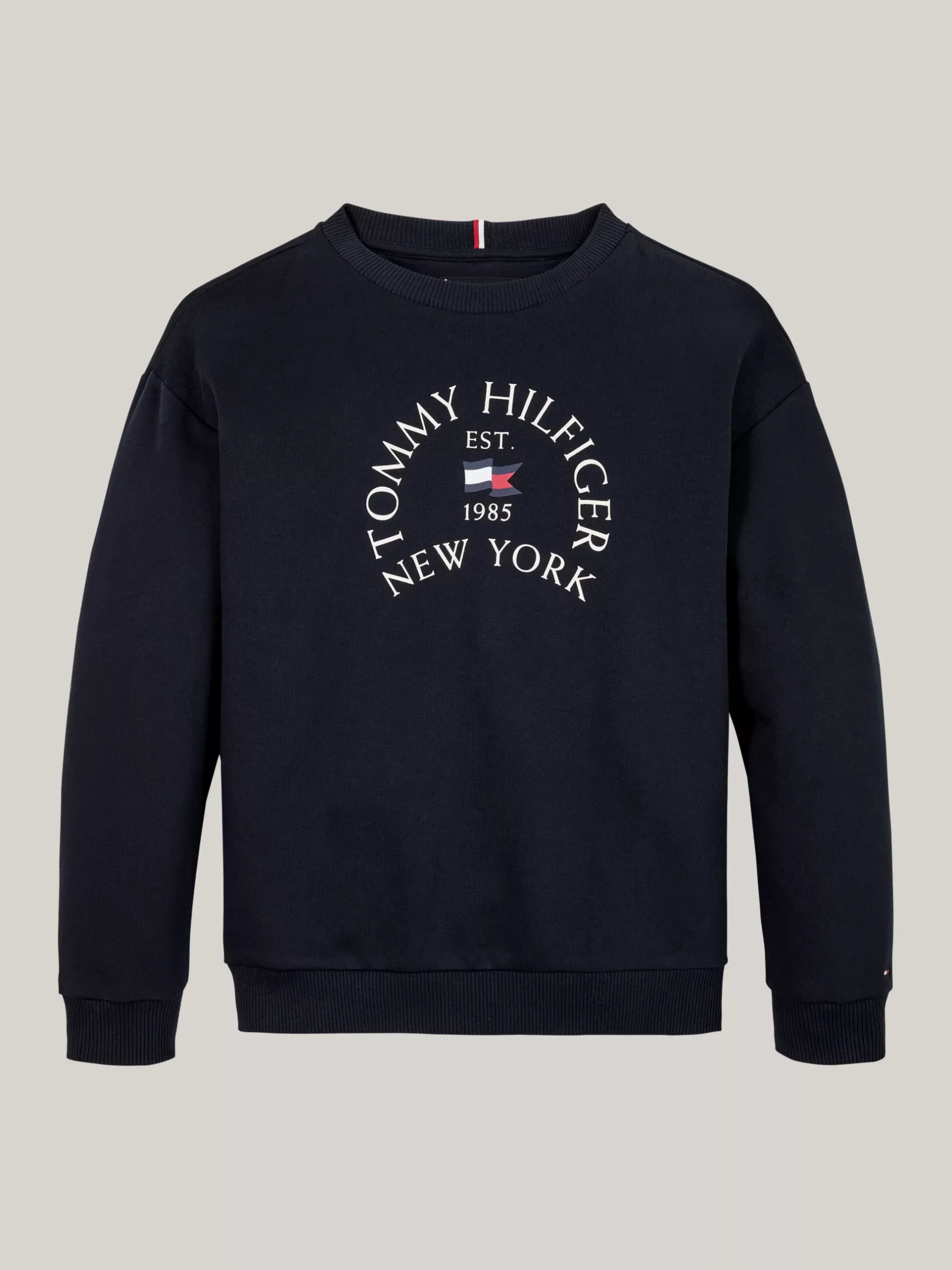 Bluzy Dresowe I Z Kapturem*Tommy Hilfiger Bluza Z Okrągłym Dekoltem I Logo DESERT SKY