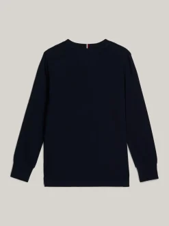 T-Shirty I Koszulki Polo*Tommy Hilfiger Longsleeve Adaptive Z Wyhaftowanym Logo DESERT SKY