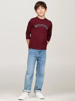 T-Shirty I Koszulki Polo*Tommy Hilfiger Longsleeve Z Logo Hilfiger Monotype DEEP ROUGE