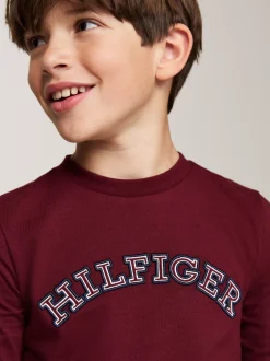 T-Shirty I Koszulki Polo*Tommy Hilfiger Longsleeve Z Logo Hilfiger Monotype DEEP ROUGE