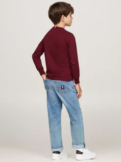 T-Shirty I Koszulki Polo*Tommy Hilfiger Longsleeve Z Logo Hilfiger Monotype DEEP ROUGE