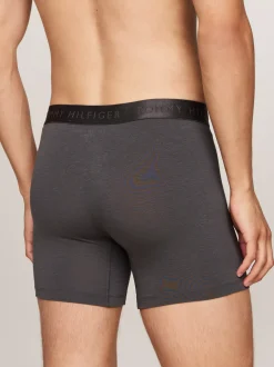 Bielizna*Tommy Hilfiger Zestaw 3 Par Obcisłych Bokserek Z Logo DESERT SKY/DARK ASH/DES SKY